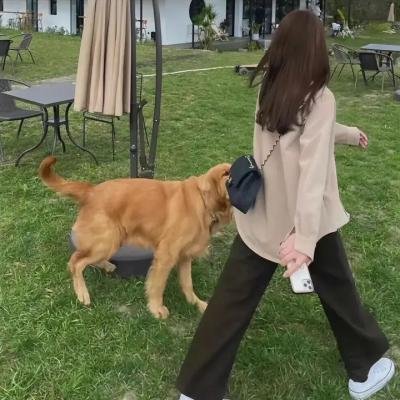 伴娘复仇记